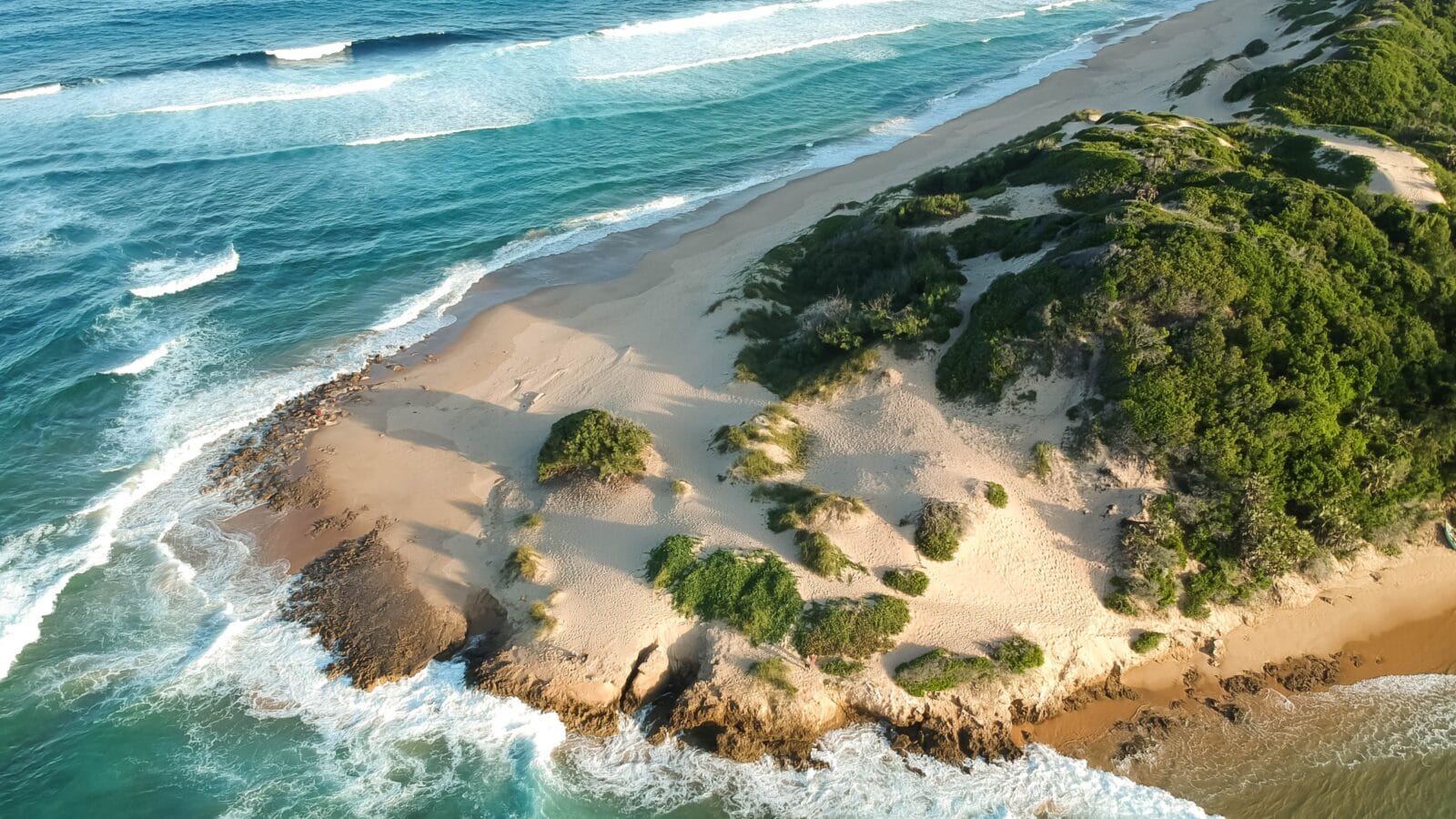 A beach in Mozambique