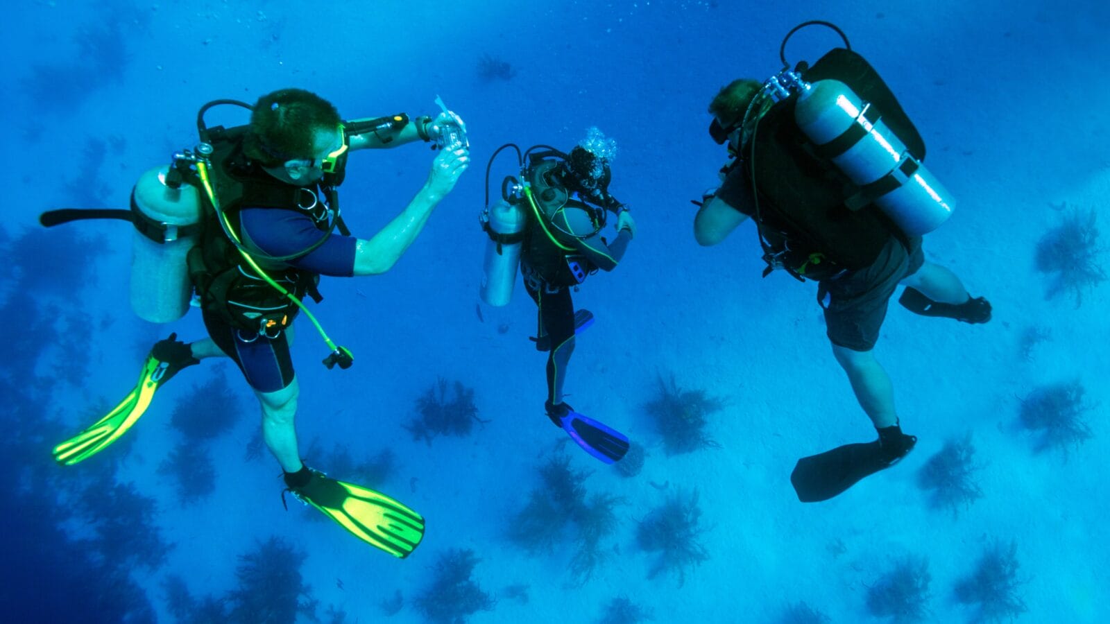 Group of scuba divers