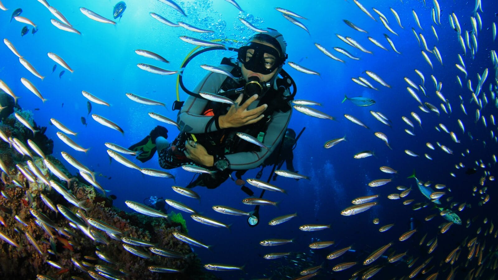 Scuba Diver with fish