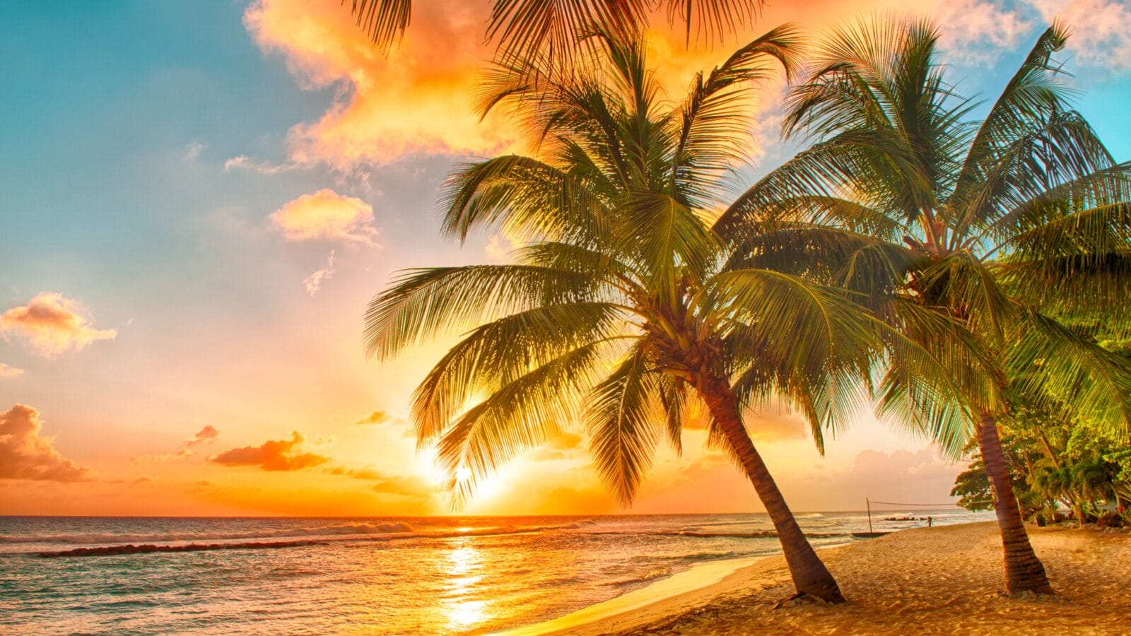 Beach in Barbados