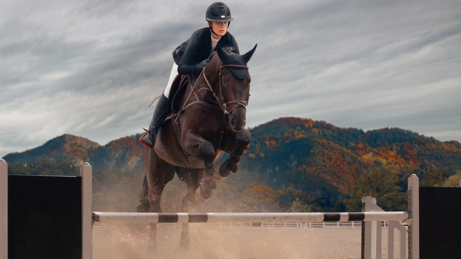 Equestrian