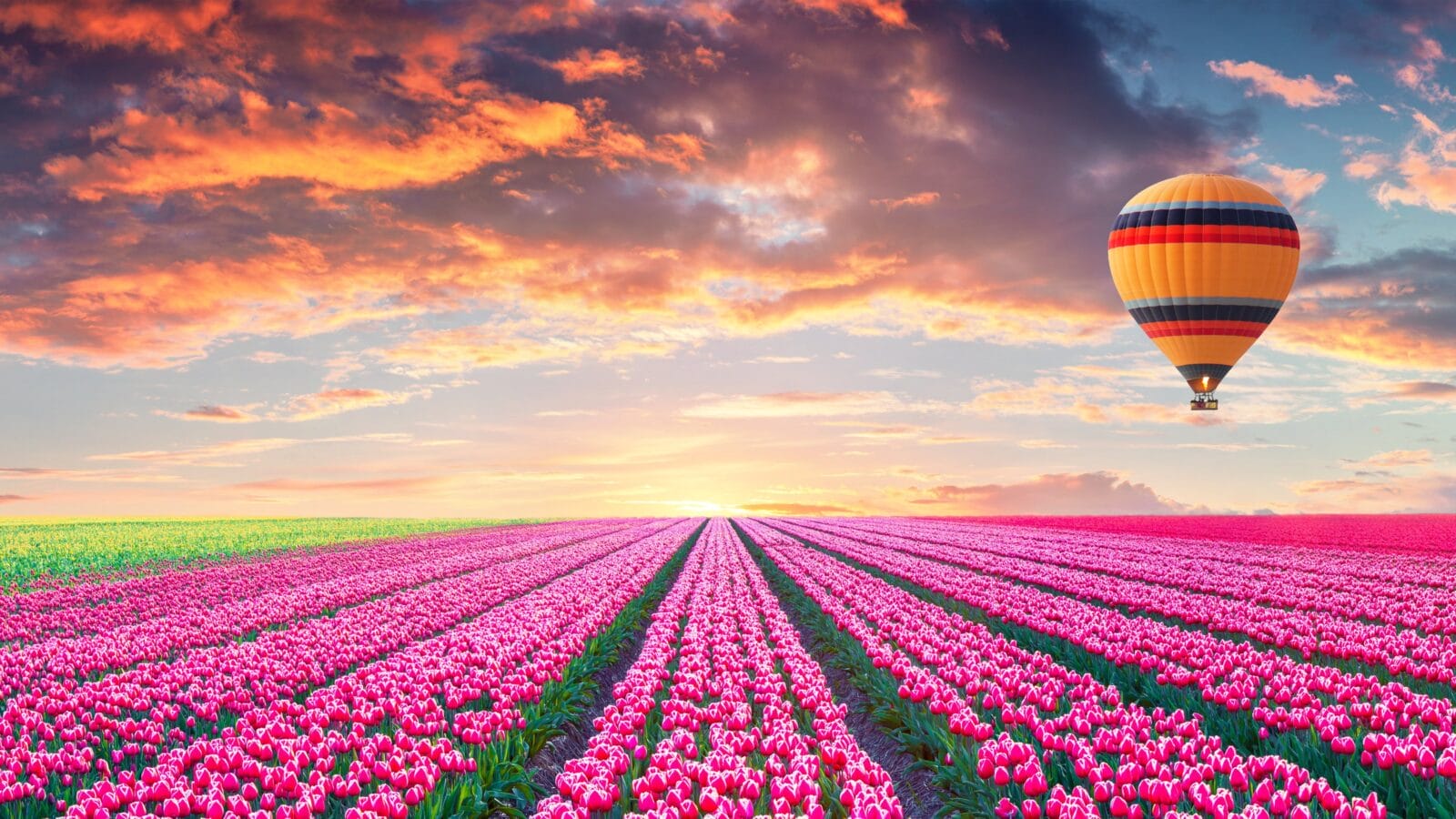 Hot air balloon over flowers