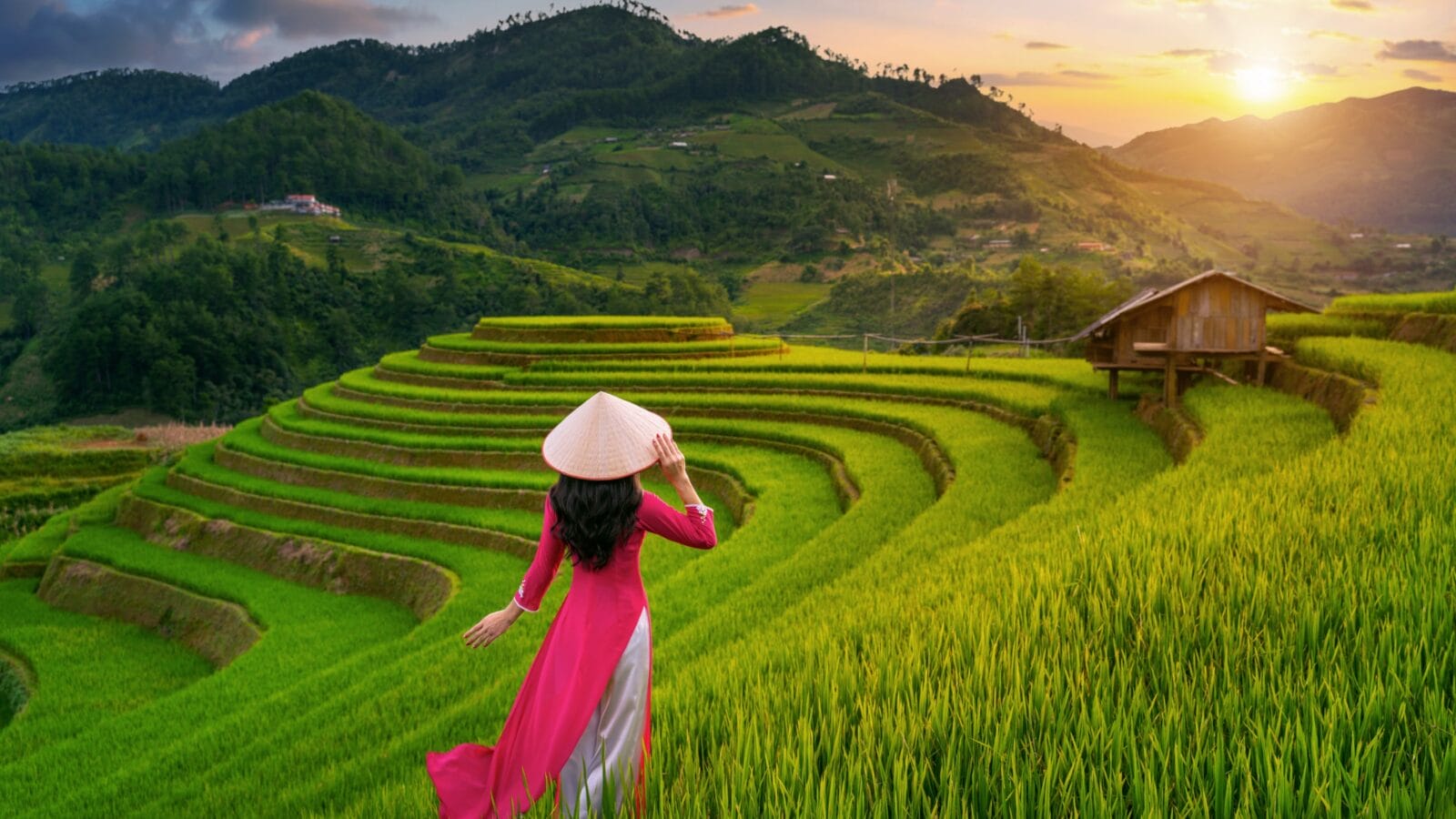 Rice Terrace in Vietnam
