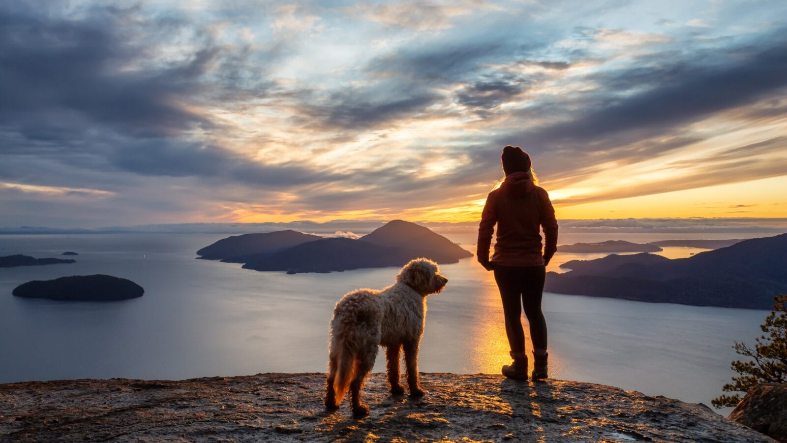 Girl and a dog over a lake.