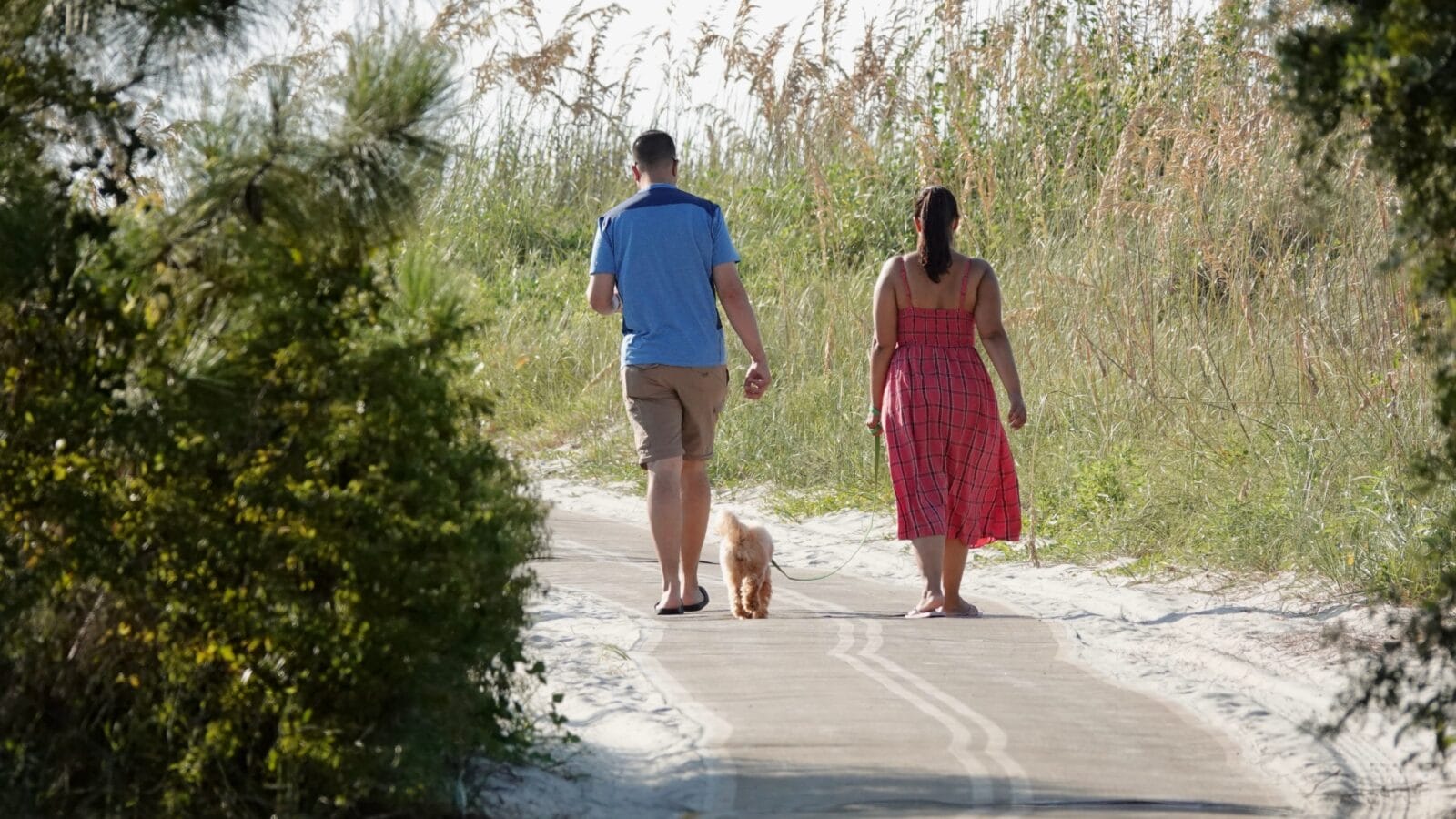 Dog on Hilton Head, SC