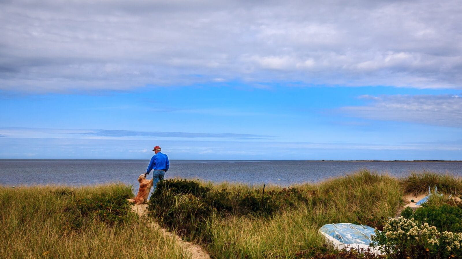 Dog and man on a beach.