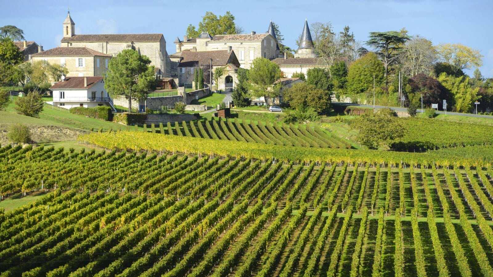 Vineyards of Saint Emilion