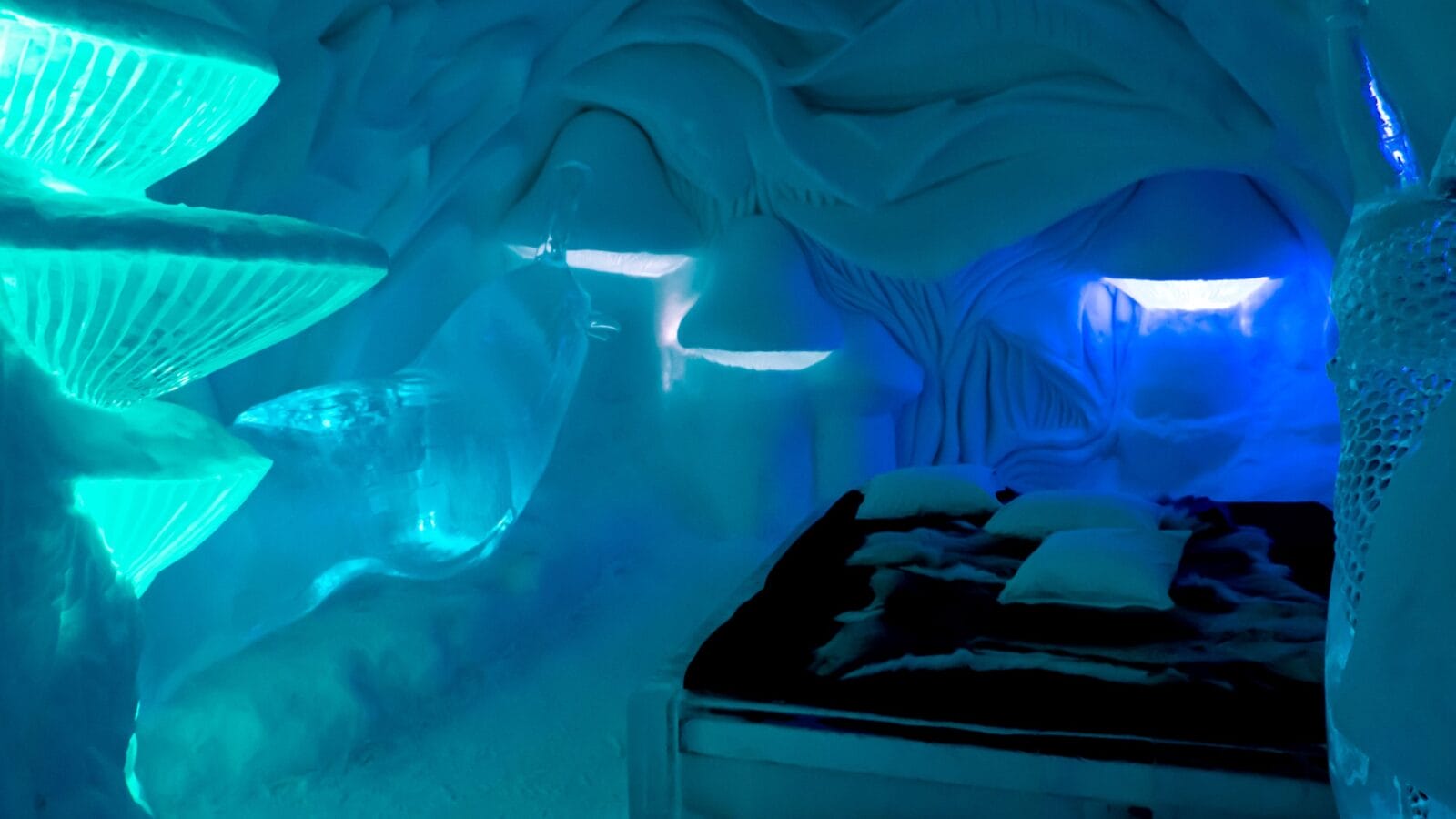 Bedroom with an ice bed