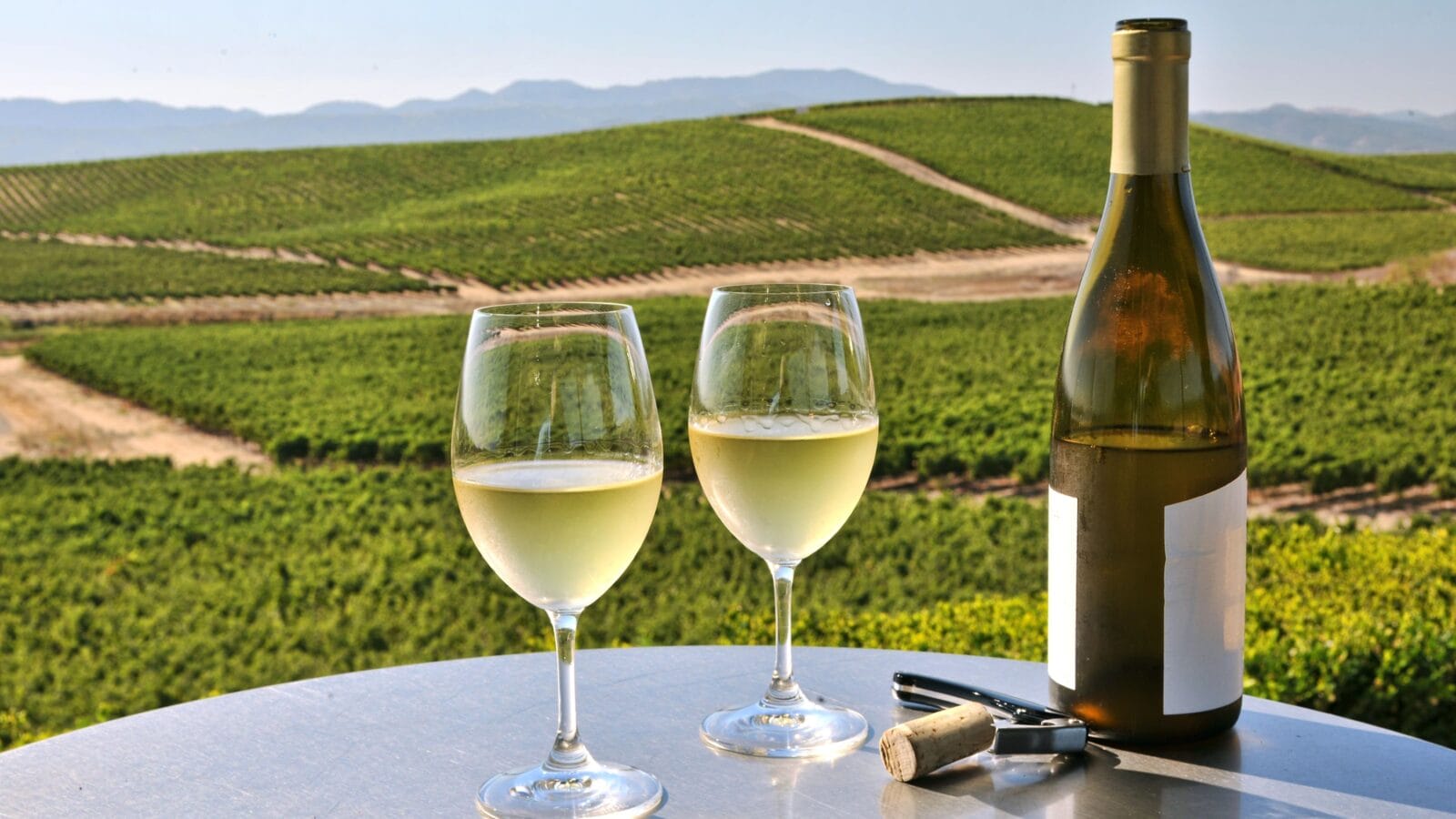 Two glasses of white wine overlooking napa valley