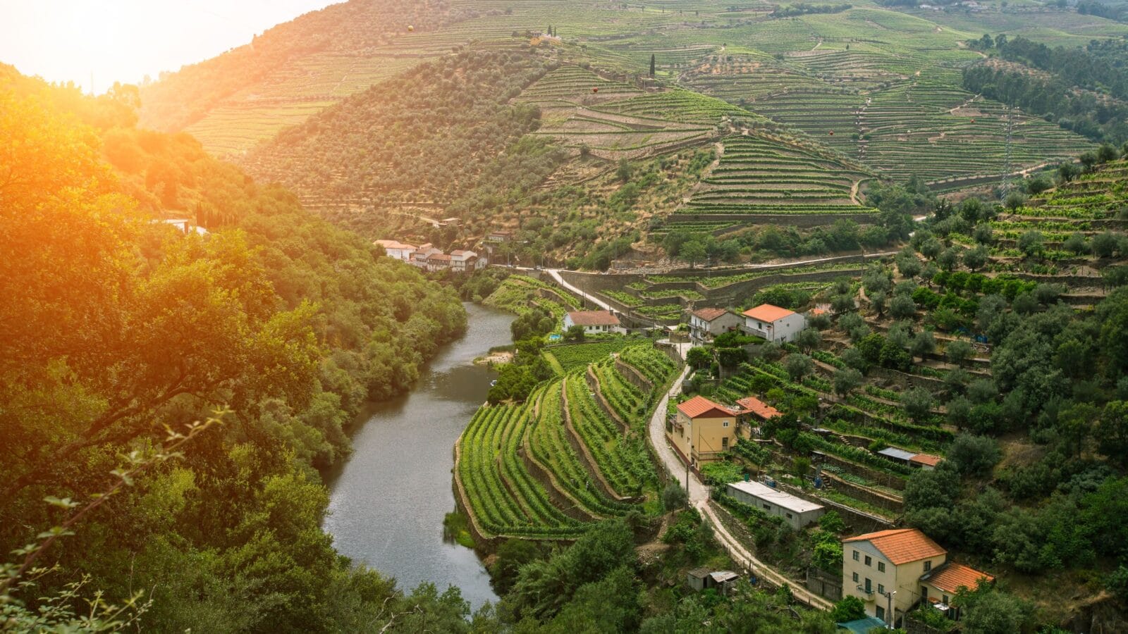 Douro Valley, Portugal. Top view of river, and the vineyards are on a hills.