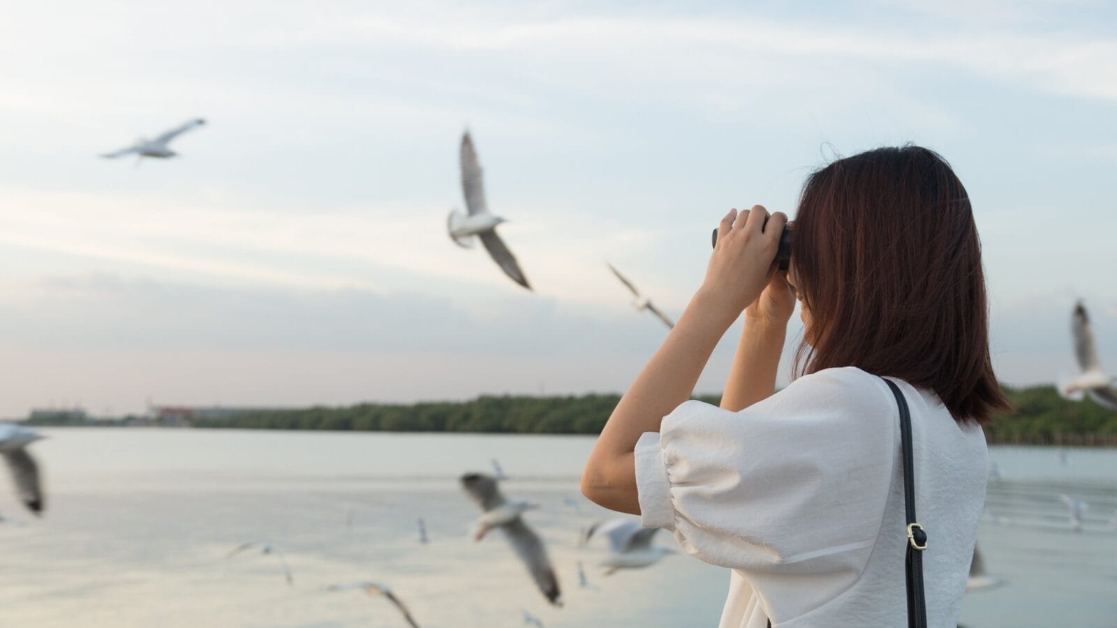 Woman watching birds by the sea.
