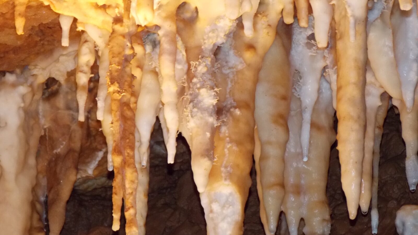 Selenite crystals in cave, Mexico