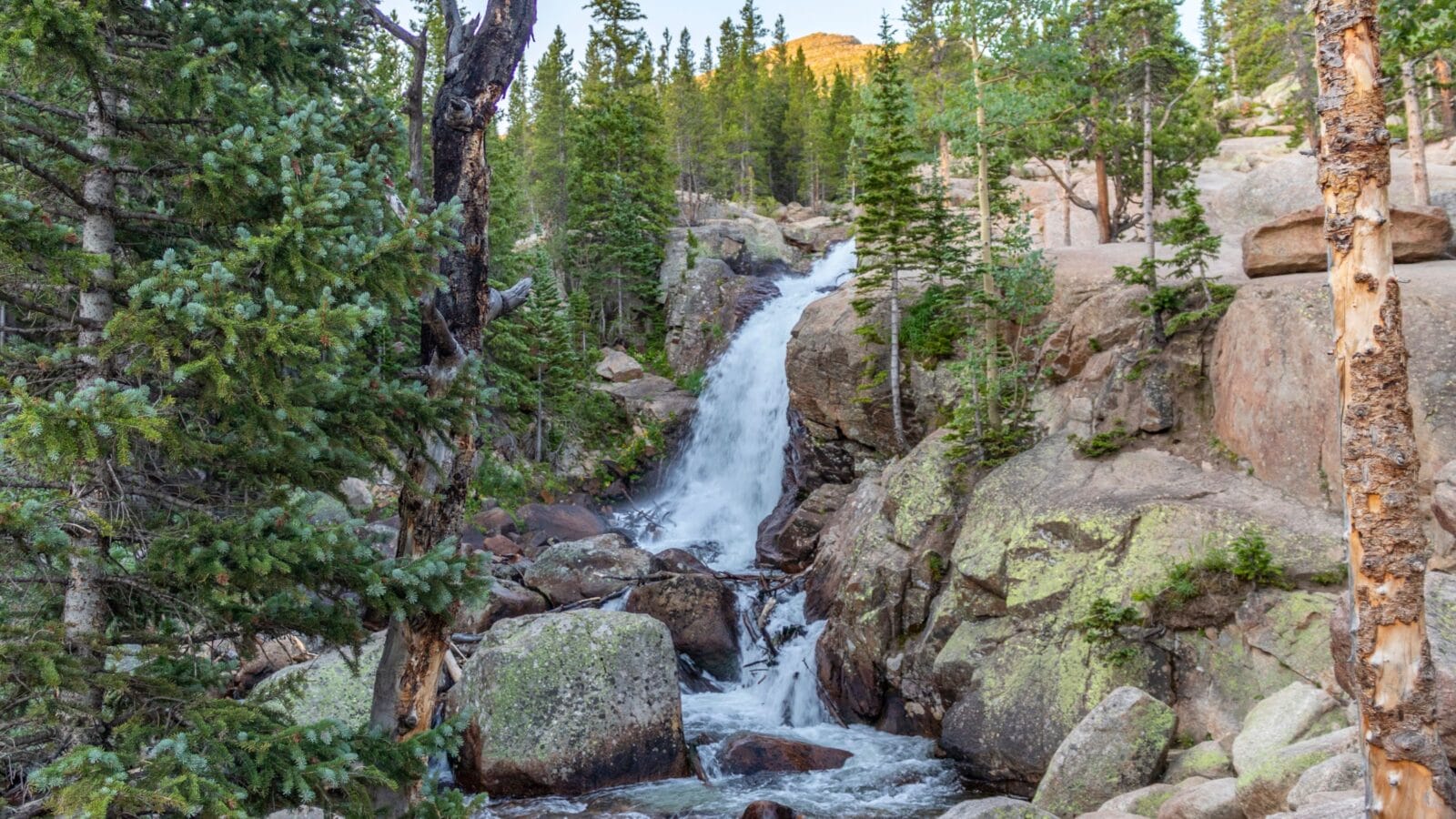 Alberta Falls Rocky Mountain National Park