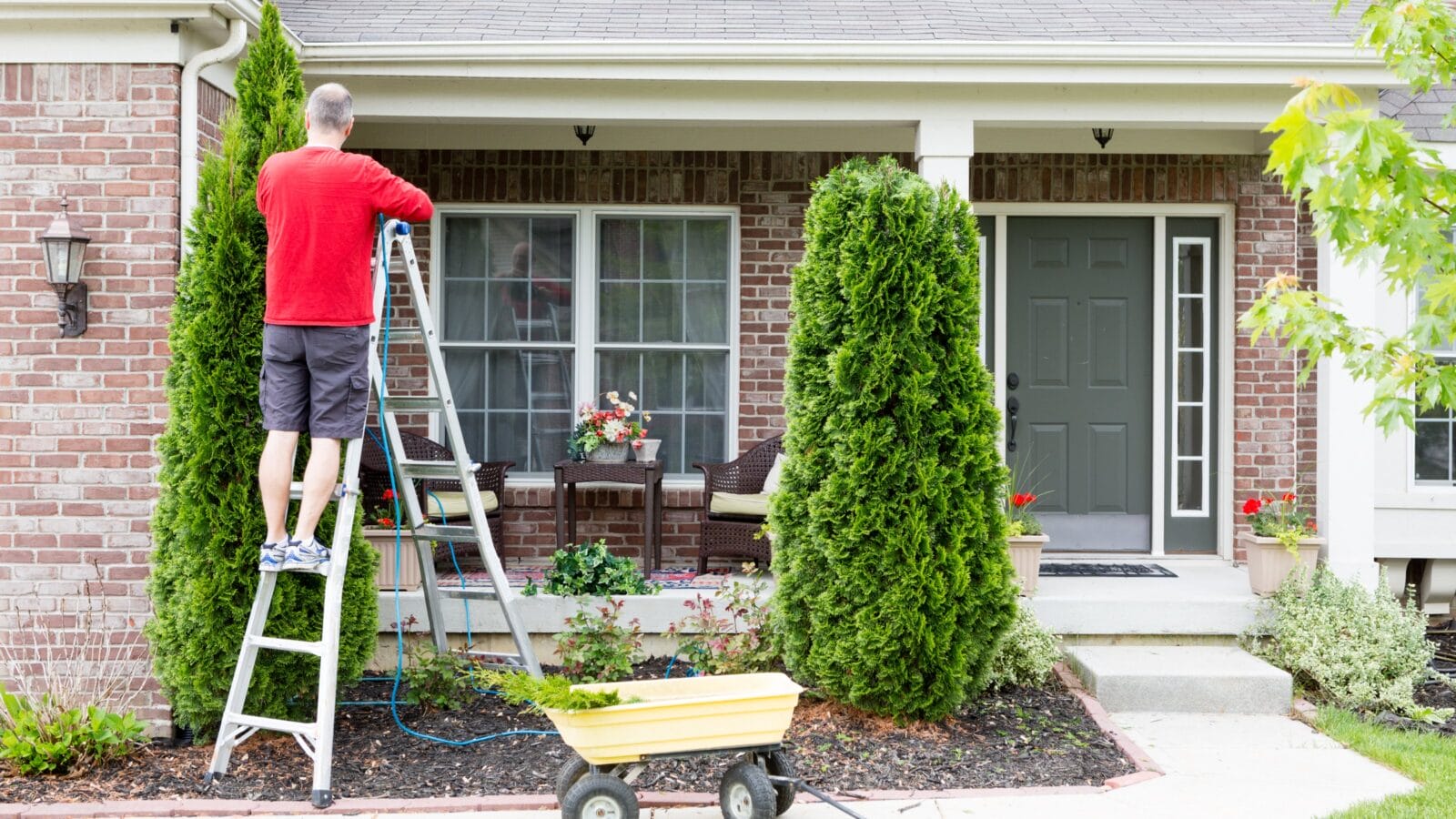 Man working around the house trimming a tree.