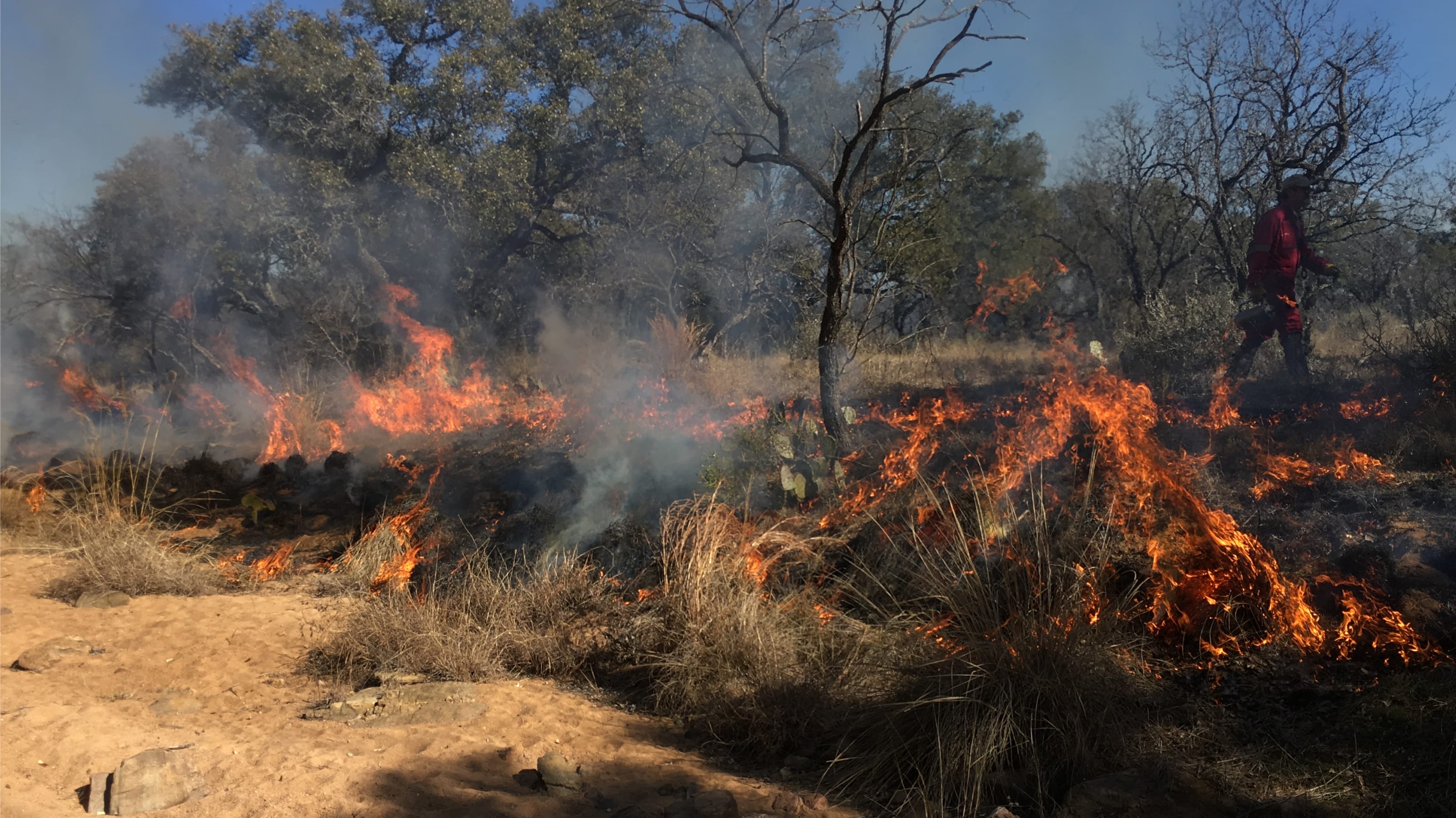 The Largest Wildfires In Texas’ History Threatens Parks, Natural Areas ...