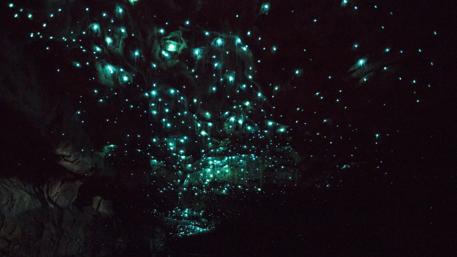 Waitomo Glowworm Caves, New Zealand