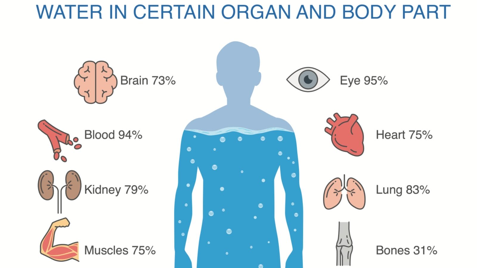 Water in certain organ and body parts of human.