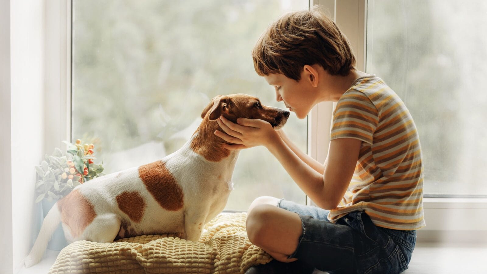 Little boy kisses the dog in nose on the window