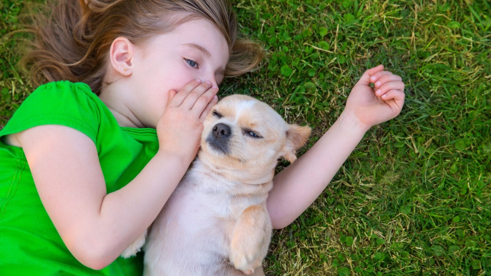Blond happy girl with her chihuahua doggy portrait lying on lawn