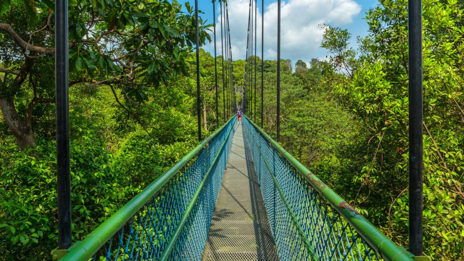 Trial at MacRitchie Reservoir Park in Singapore