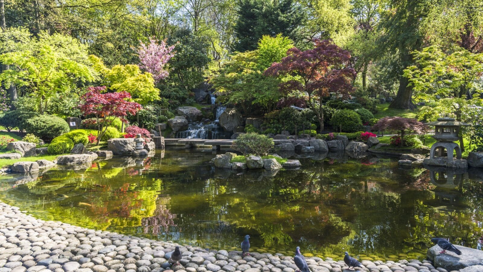 Kyoto Garden in Holland Park, London, UK