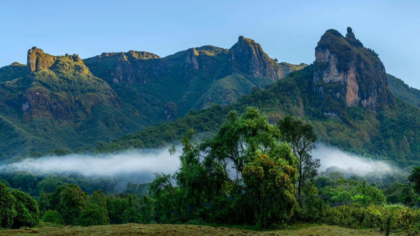 The Harenna Escarpment. Bale Mountains National Park. Ethiopia.