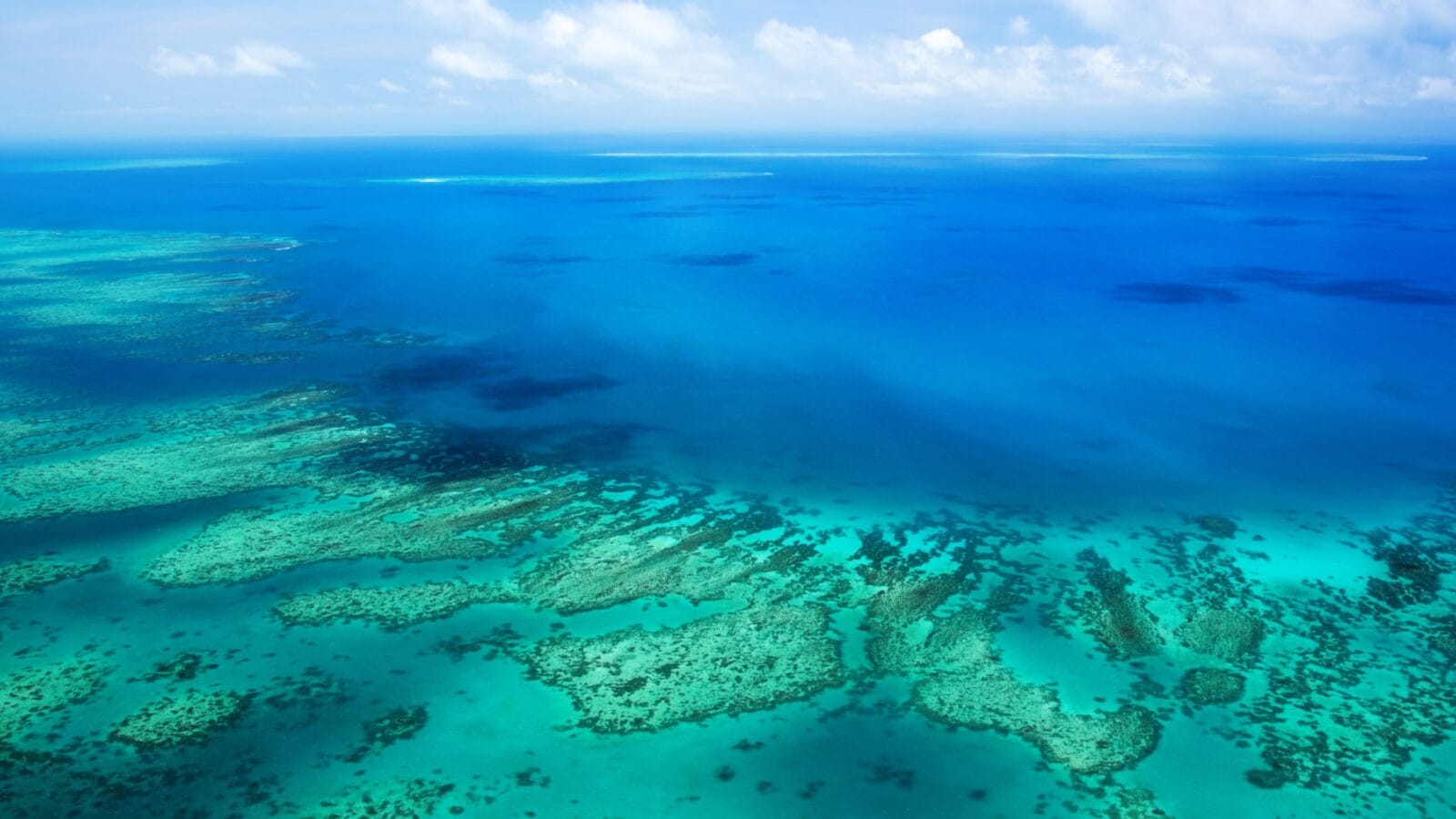 Aerial view of a great barrier reef
