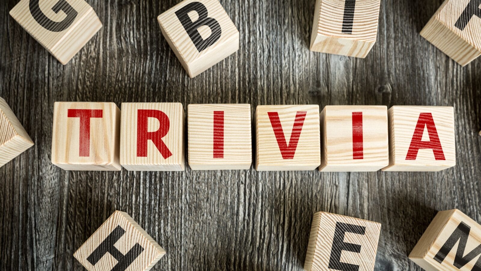 Wooden Blocks with the text: Trivia