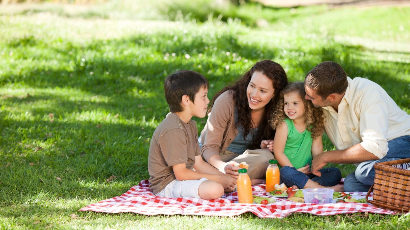 Family picnicking together