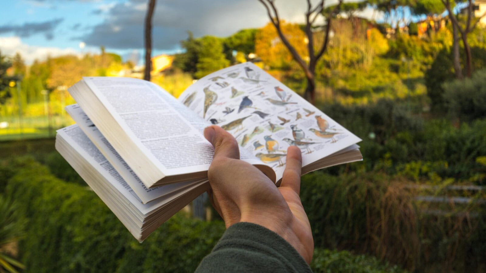 Bird Identification field guide in hand walking in Nature
