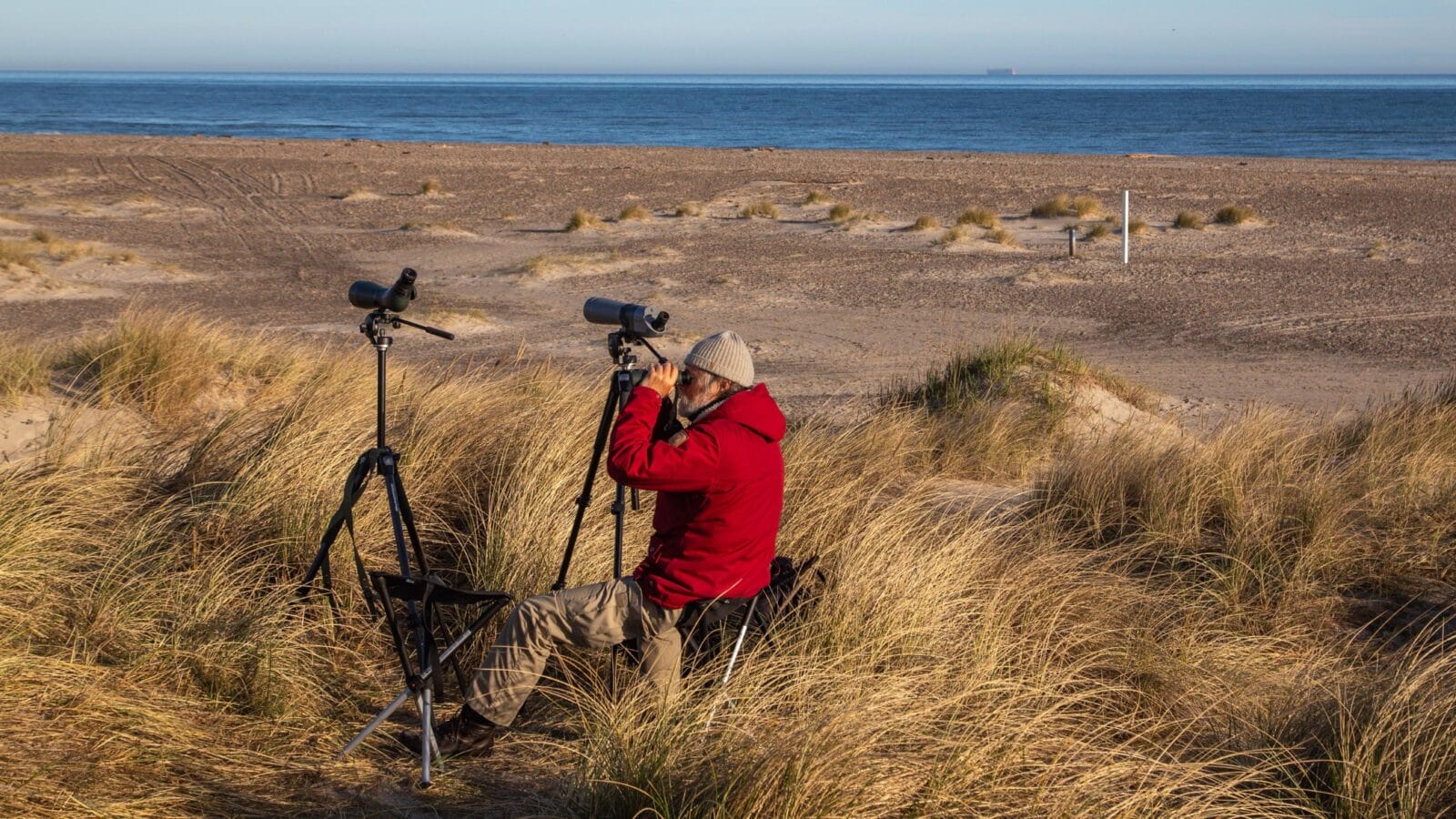 Birdwatcher with his equipment at the sand dunes.