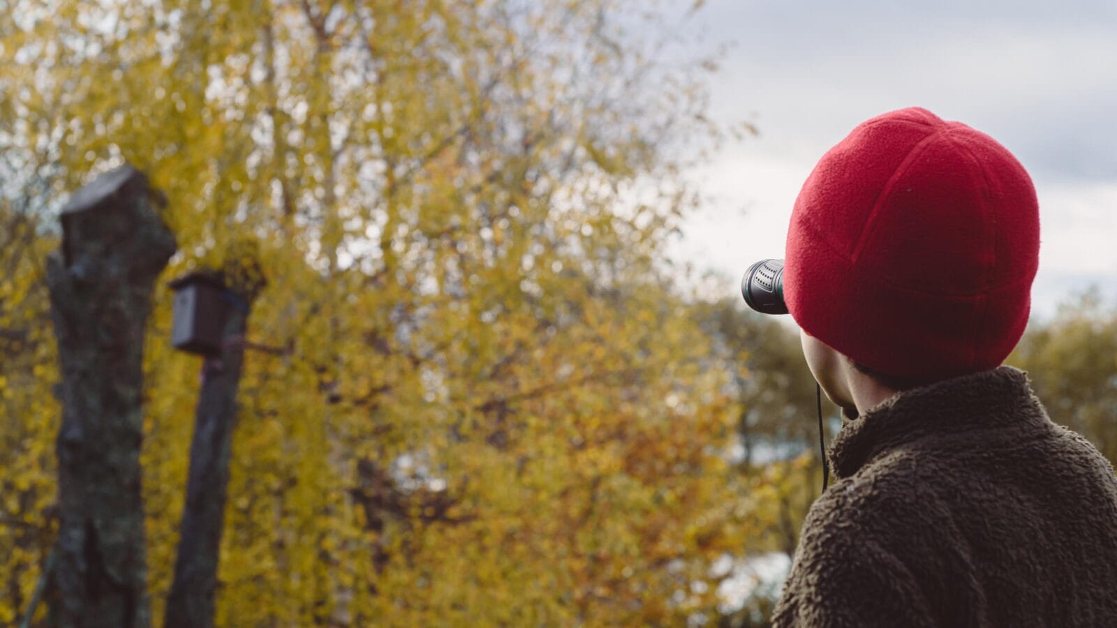 Birdwatching kid looking through binoculars at birdhouse