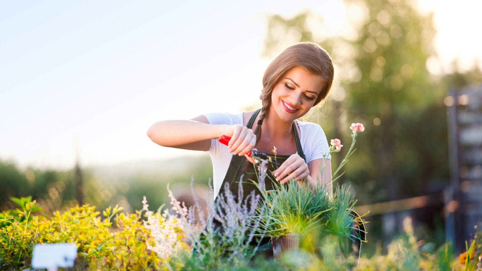 Young gardener cutting little flower plant, green sunny nature
