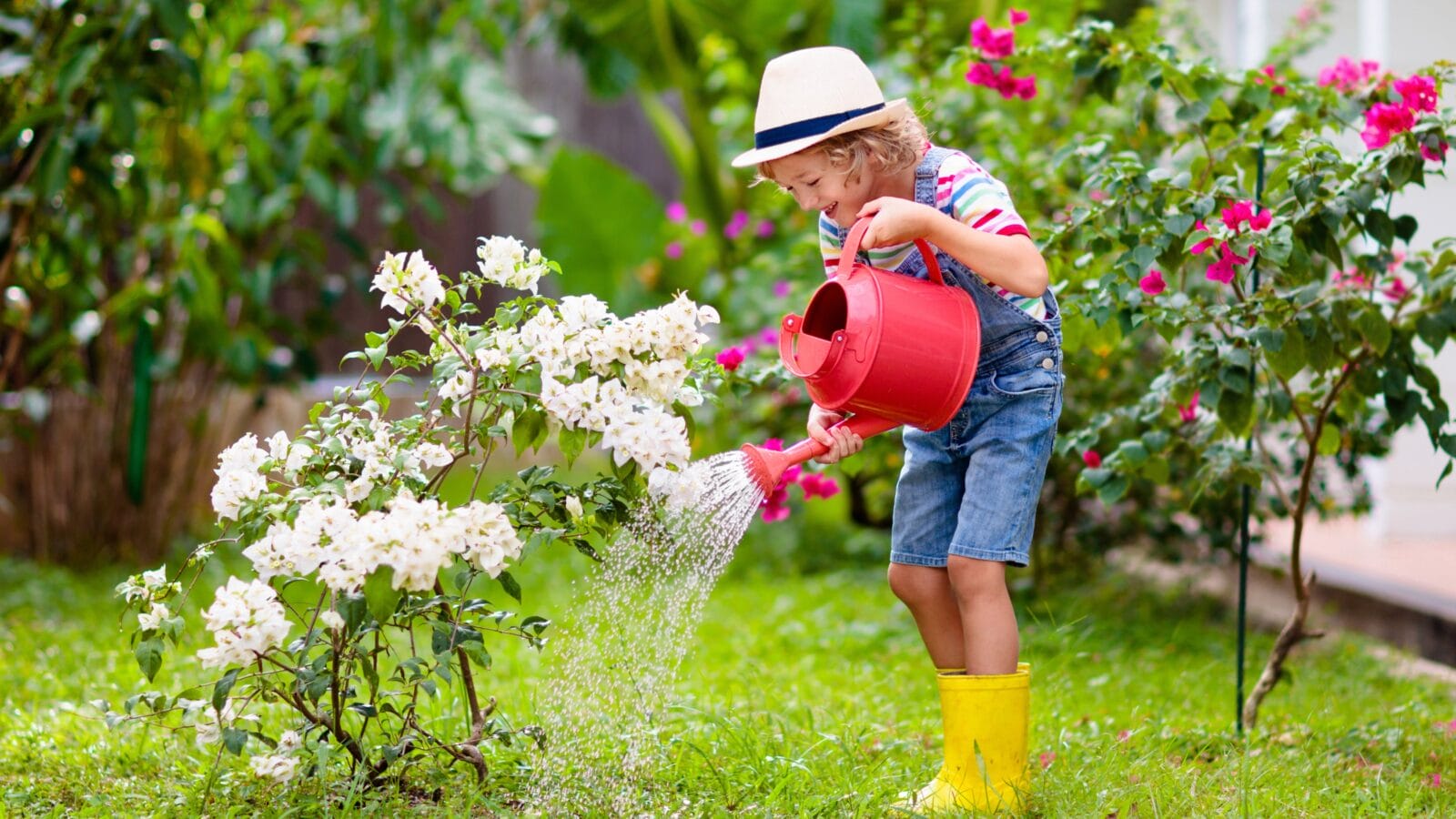 Little boy with red watering can in blooming sunny garden.