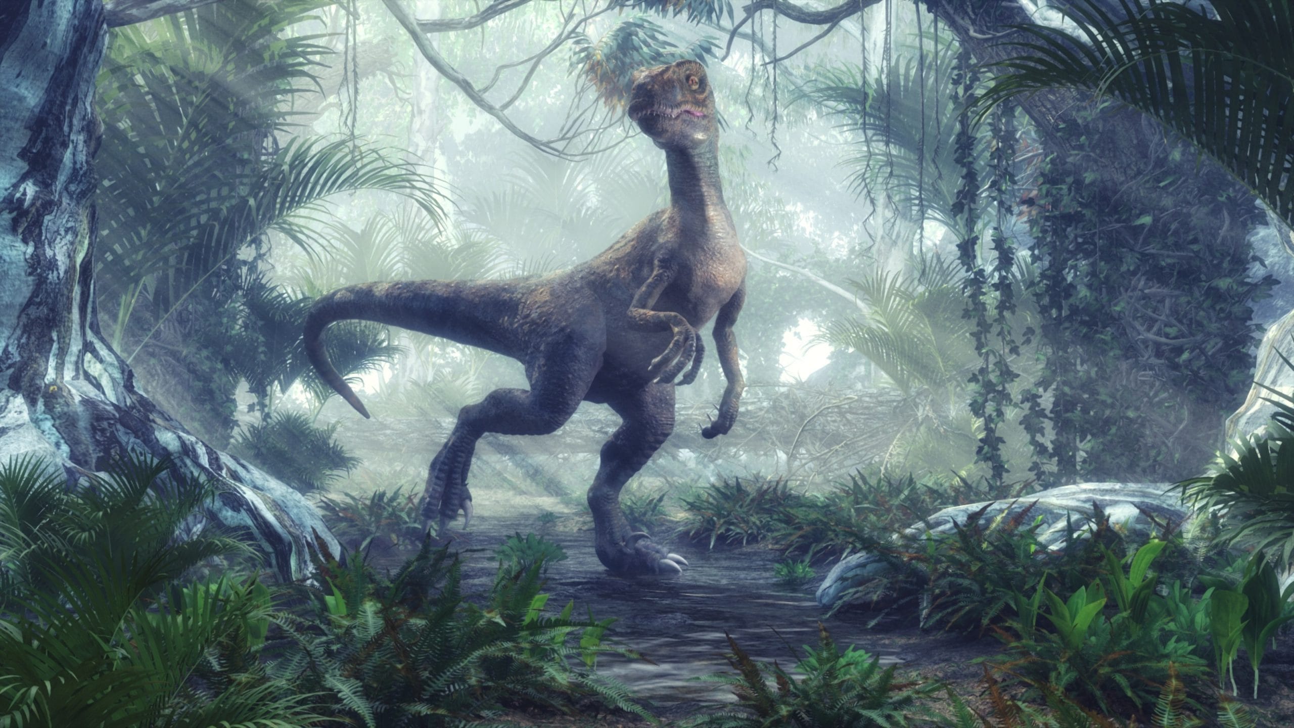 10 Facts You Might Not Know About Velociraptors - Dips and Trips