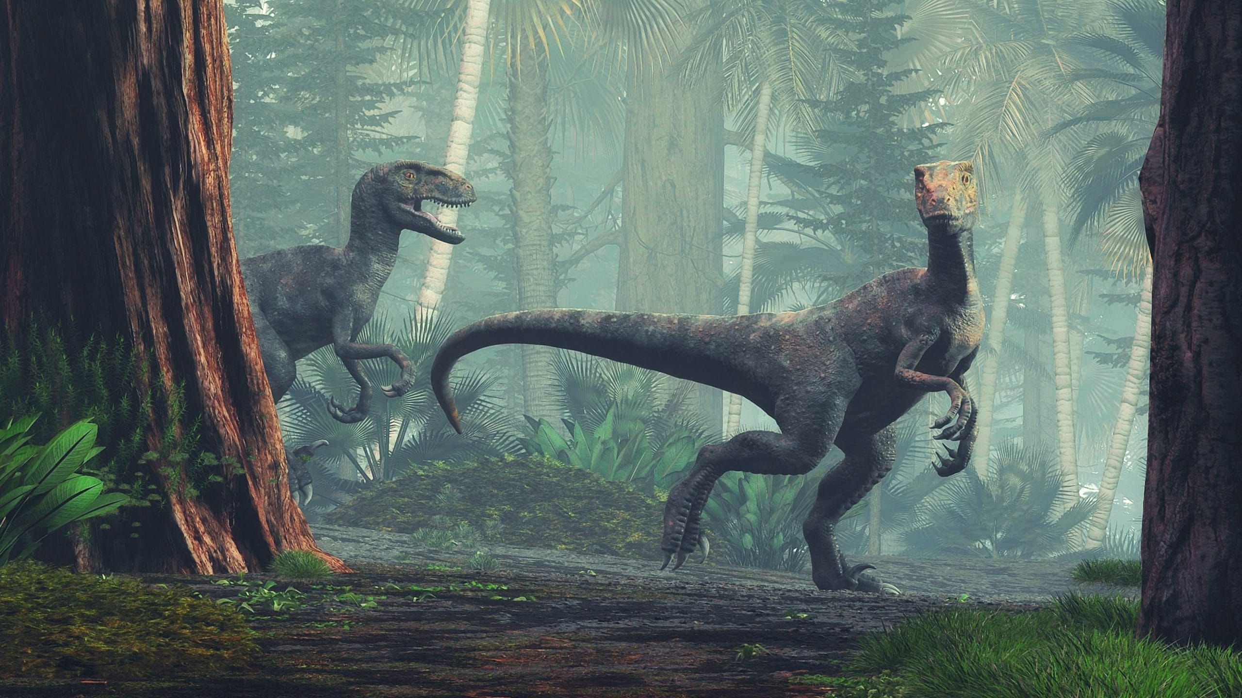 10 Facts You Might Not Know About Velociraptors - Dips and Trips