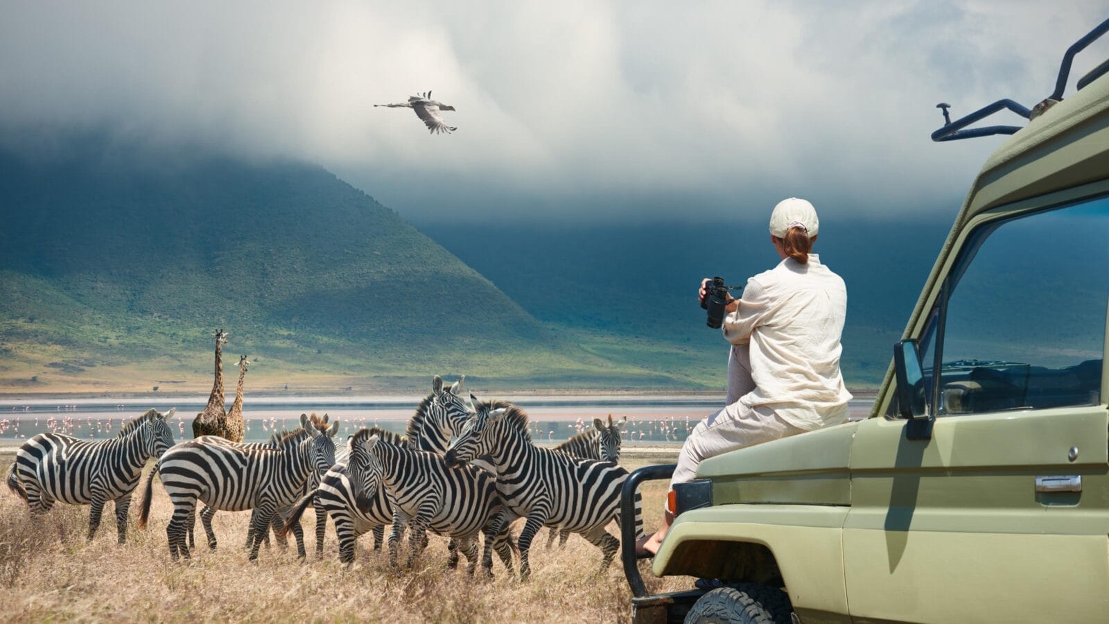 Woman tourist on safari-tour in Africa, traveling by car in Tanzania, watching wild animals and birds in the National park Ngorongoro.
