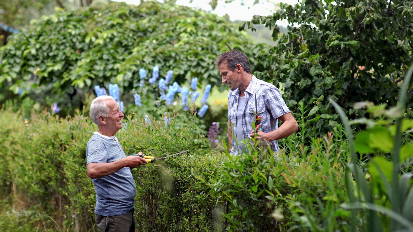 Senior man and mature men chatting over plants in garden