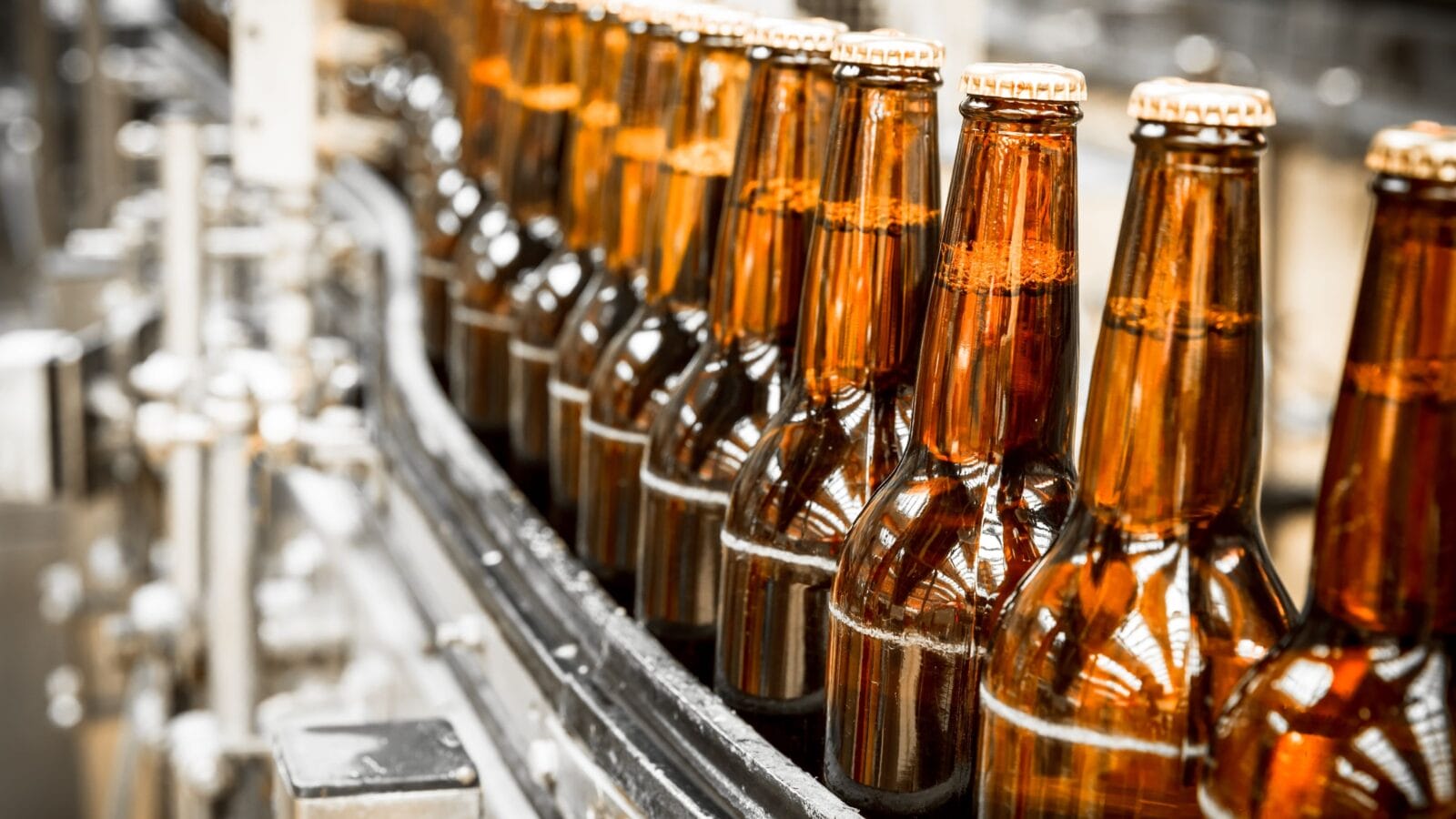 Beer bottles on the conveyor belt