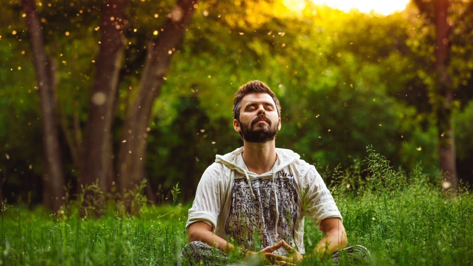 A bearded man is meditating on green grass in the park with face raised up to sky and eyes closed on sunny summer day.