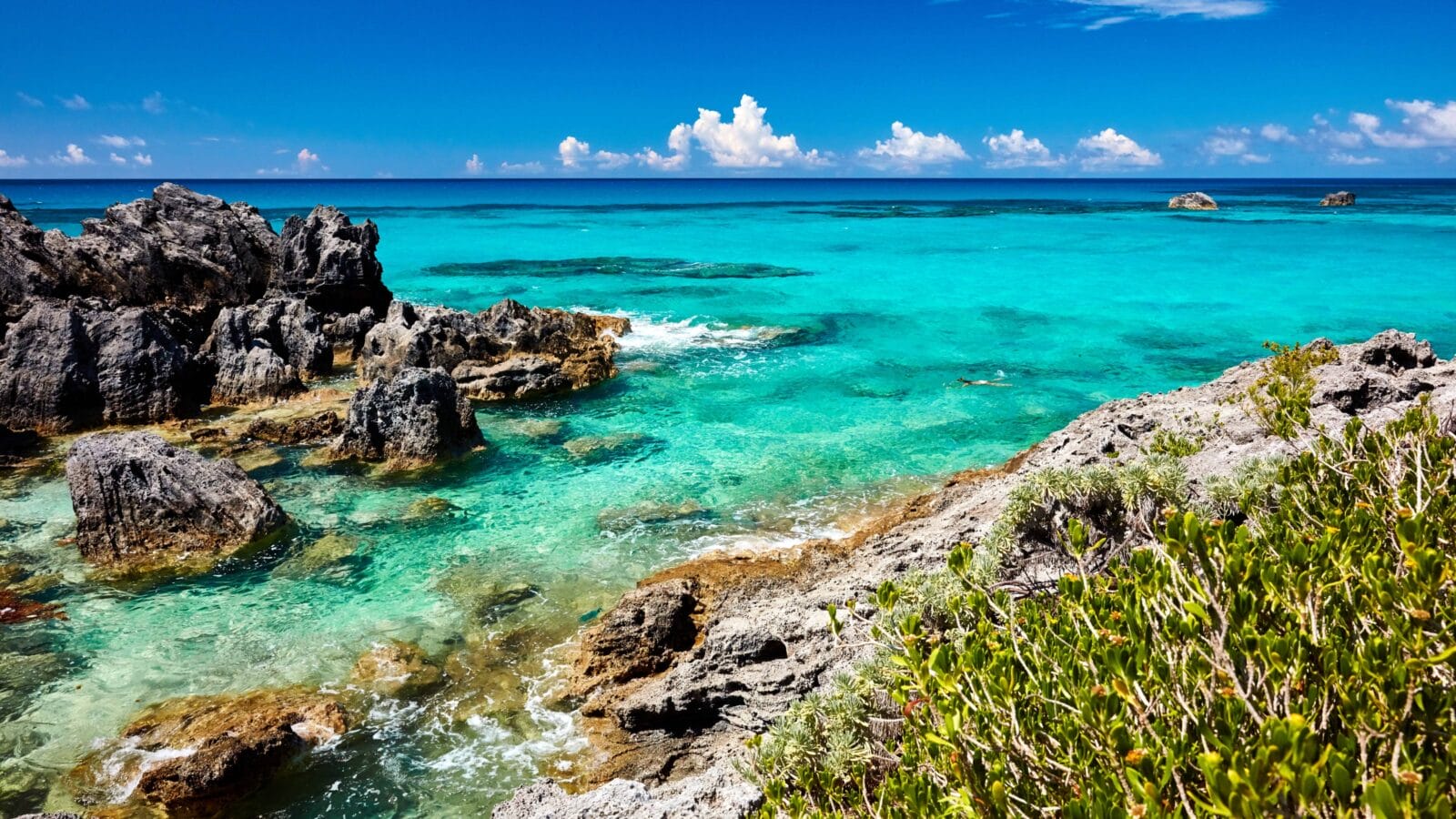 Shoreline of the Bermuda Coast