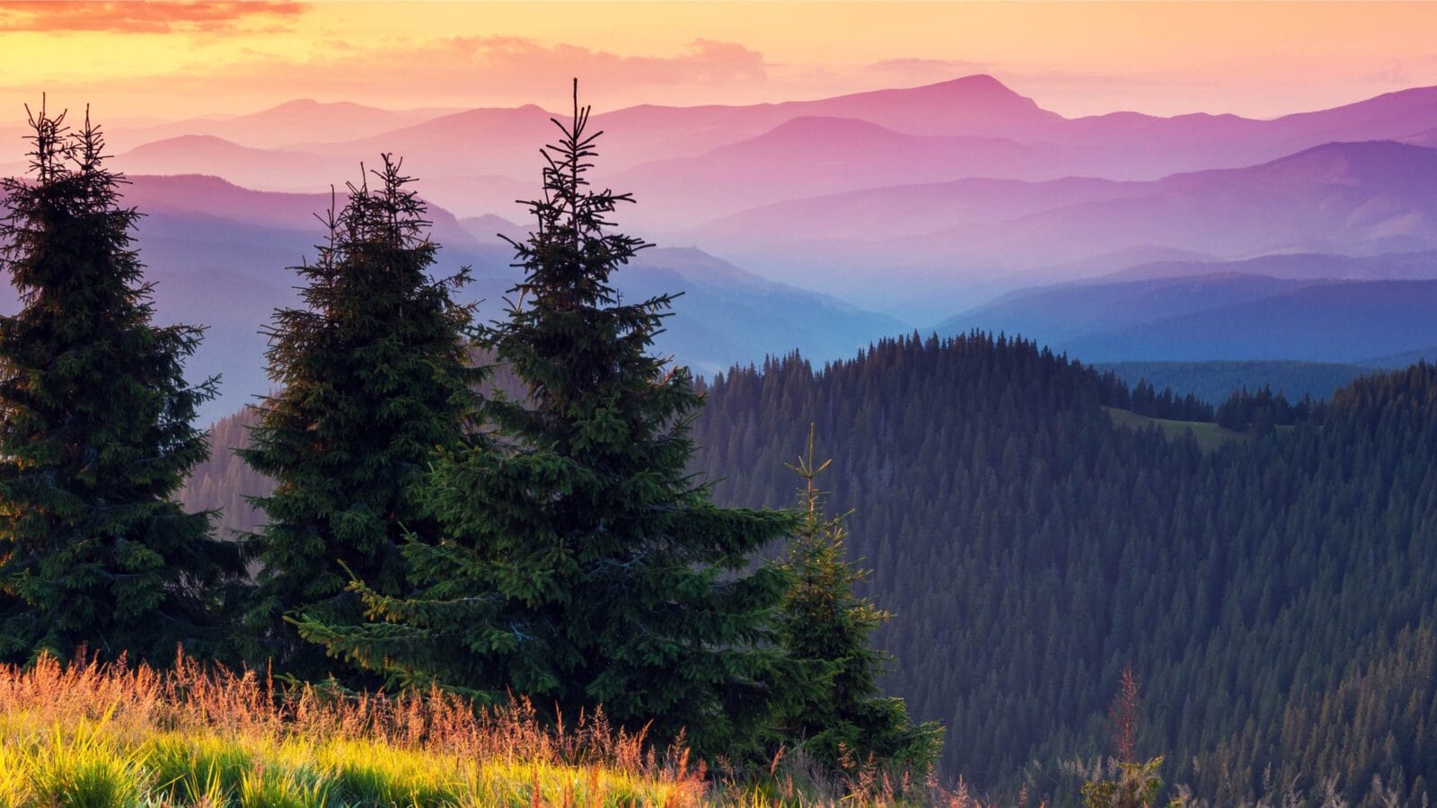 Majestic Great Smoky Mountains Panorama