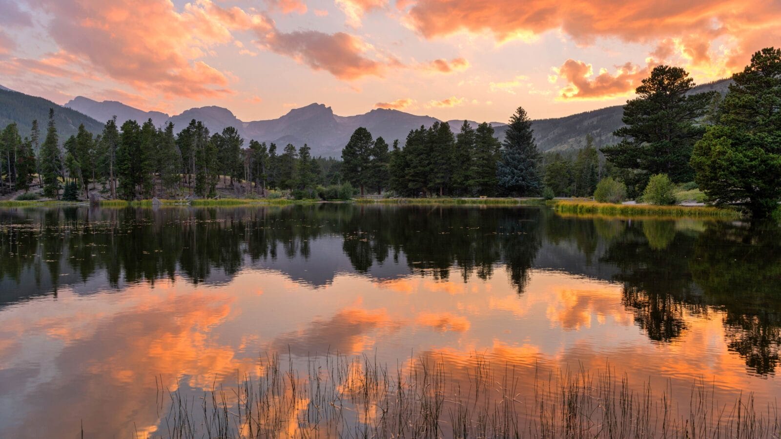 Summer Sunset at Sprague Lake - A panoramic Summer sunset view at Sprague Lake, with high peaks of Continental Divide rising at shore, Rocky Mountain National Park, Colorado, USA
