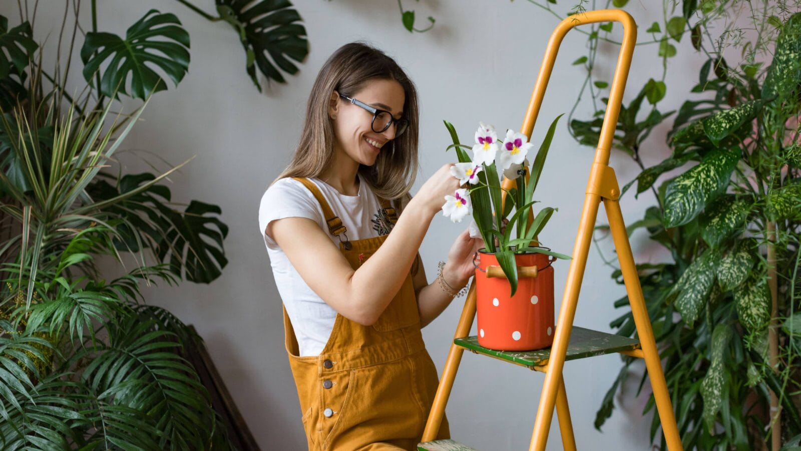 Young smiling woman gardener in glasses wearing overalls, taking care for orchid in old red milk can standing on orange vintage ladder.